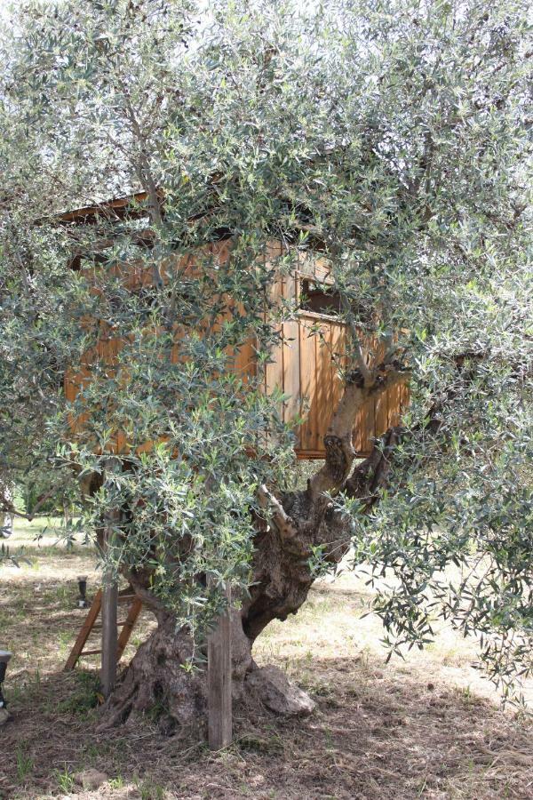 Mercouri Stone Cottage Korakokhórion Buitenkant foto